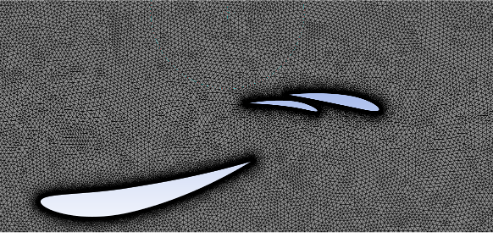 2D triangular mesh around the wing sections